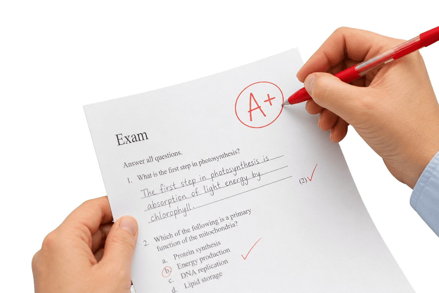 Exam Grading & Results